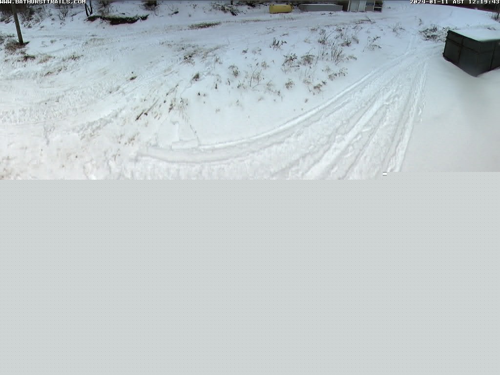 Webcam Live Image